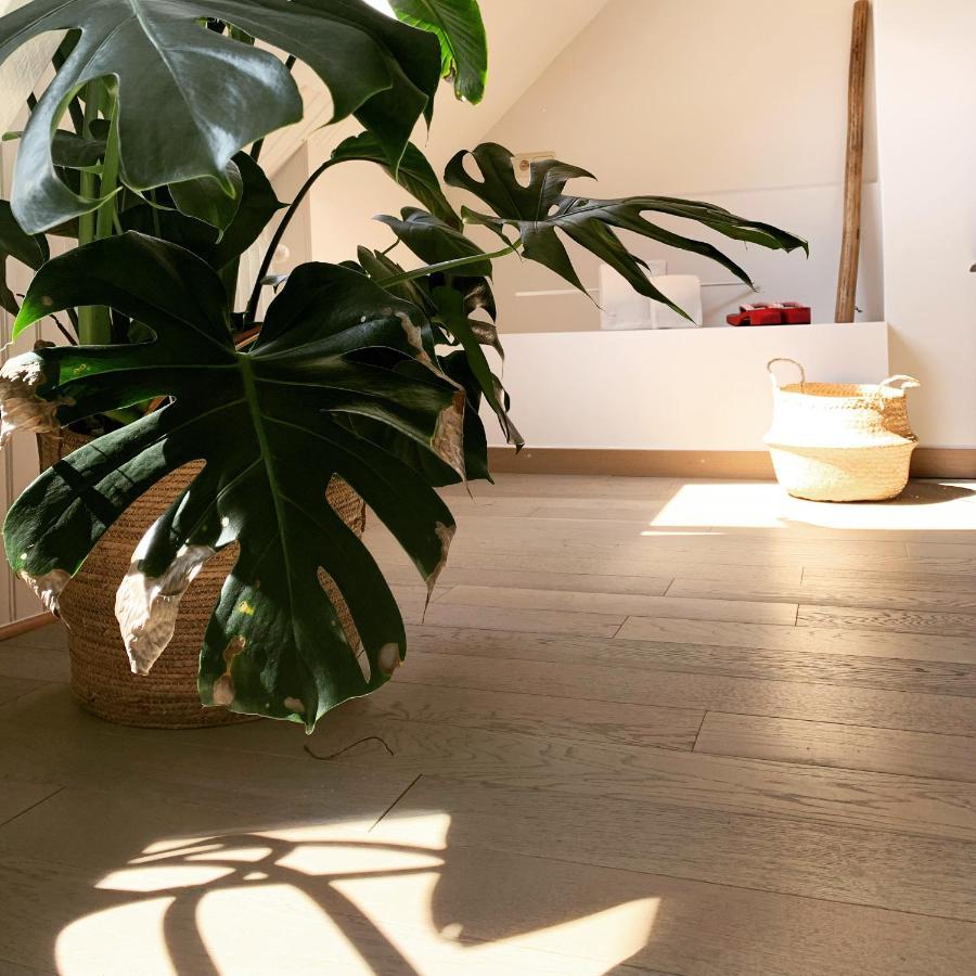 Maison D'Artiste Gent Exteriér fotografie