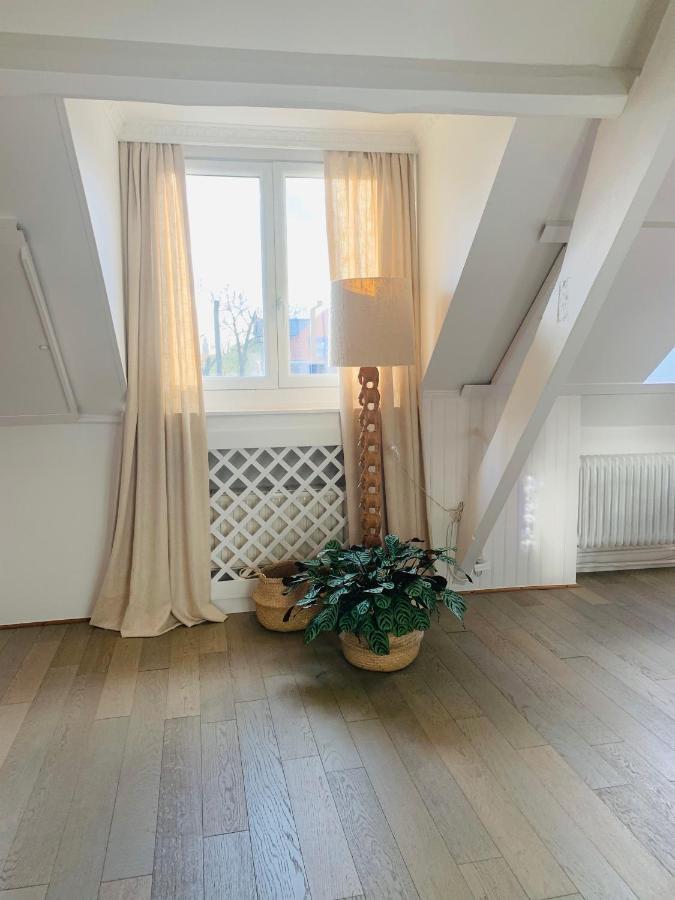 Maison D'Artiste Gent Exteriér fotografie
